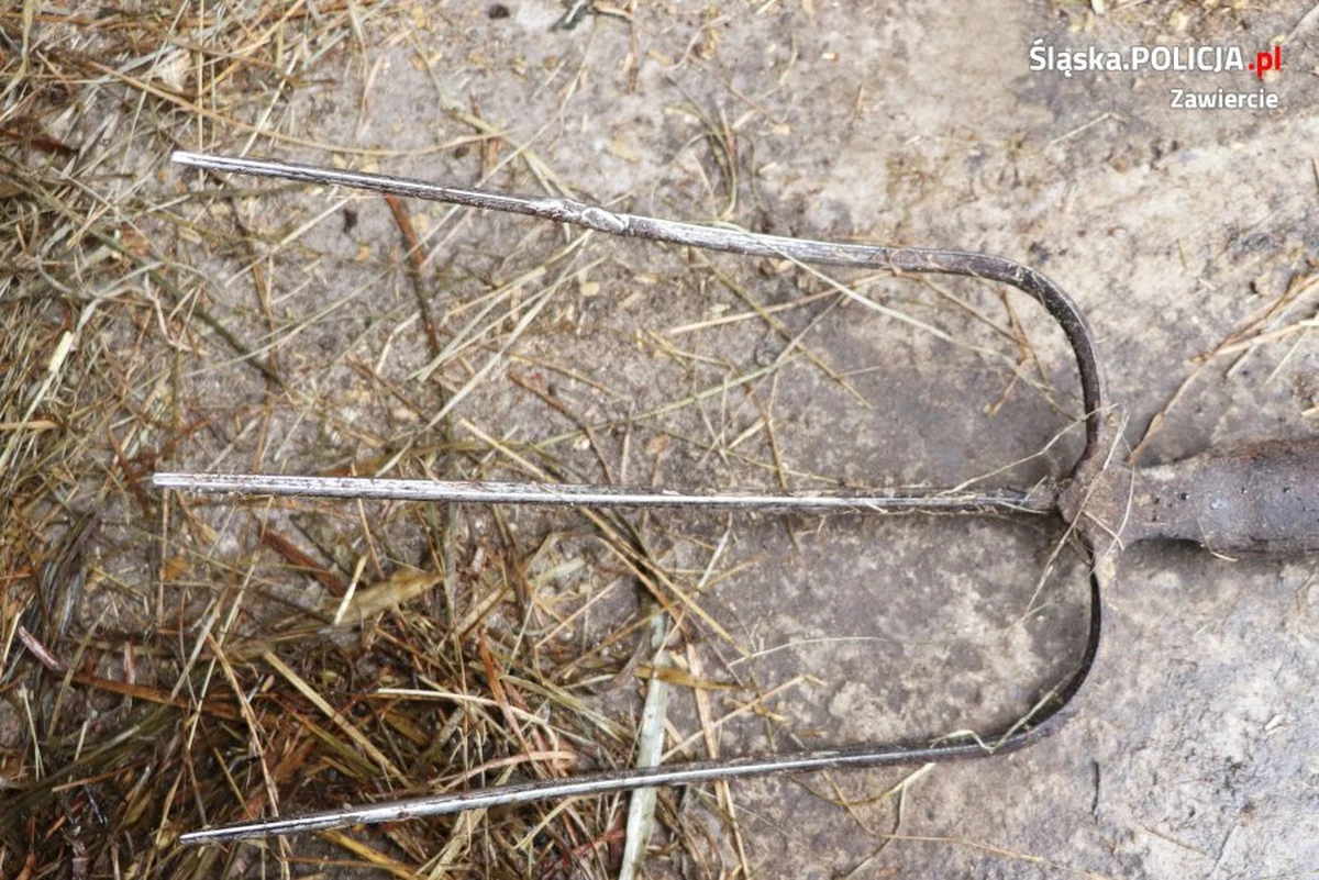 Za uśmiercenie dwóch psów odpowie przed sądem mieszkaniec gminy Szczekociny w Śląskiem. Jedno ze zwierząt zostało zabite widłami, drugie nie doczekało pomocy.