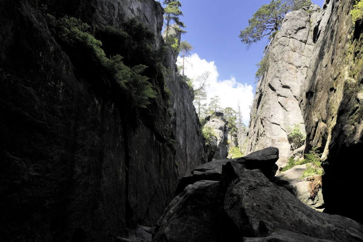Park Narodowy Gór Stołowych rusza z bezpłatnymi spacerami z widokiem na Szczeliniec. Będą odbywać się w wakacyjne piątki, a pierwszy już jutro. Podczas nich pracownik parku zabierze nas na wycieczkę po pasterskich łąkach.