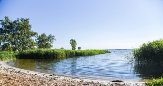 W związku z wykryciem bakterii E.coli wprowadzony został zakaz wchodzenia do wody na kąpielisku w Dąbiu – przekazał w czwartek szczeciński magistrat. Korzystać można tylko z plaży.