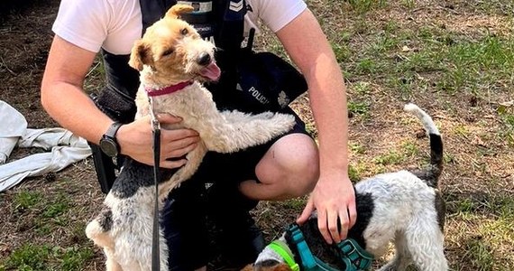 Dwa psy pozostawione na kilka godzin w samochodzie uwolnili sopoccy policjanci. Na zewnątrz było 26 stop. C. Zwierzęta leżały na legowisku w bagażniku, skamlały i dyszały.