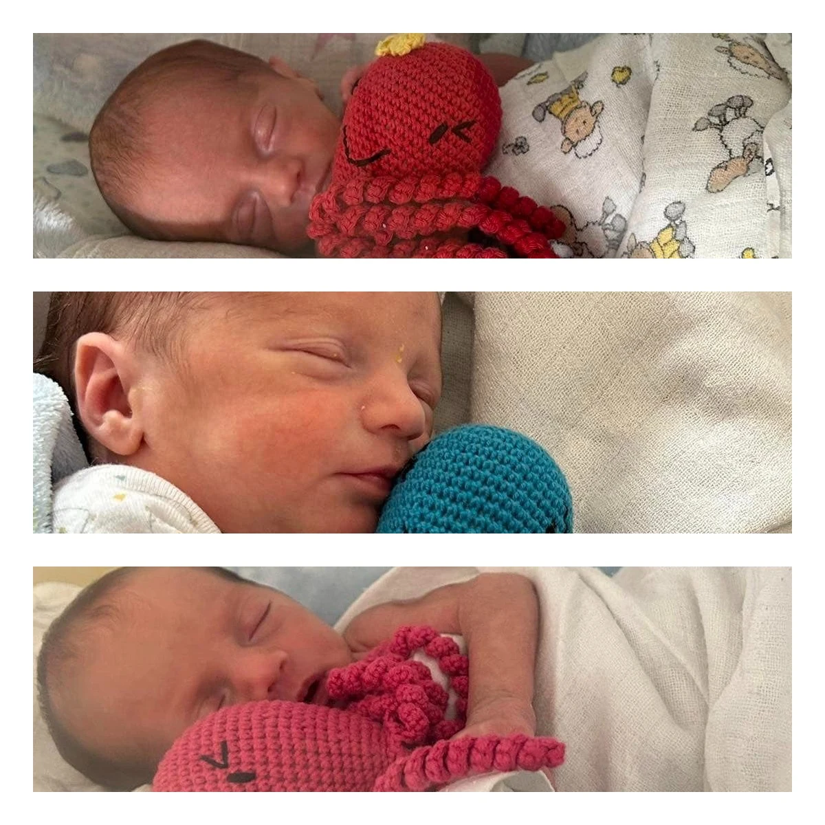 Polsko-kubańskie trojaczki urodziły się na oddziale położniczym w Szpitalu Specjalistycznym im. A. Falkiewicza we Wrocławiu. To chłopiec i dwie dziewczynki. Jak informuje szpital - dzieci są zdrowe.