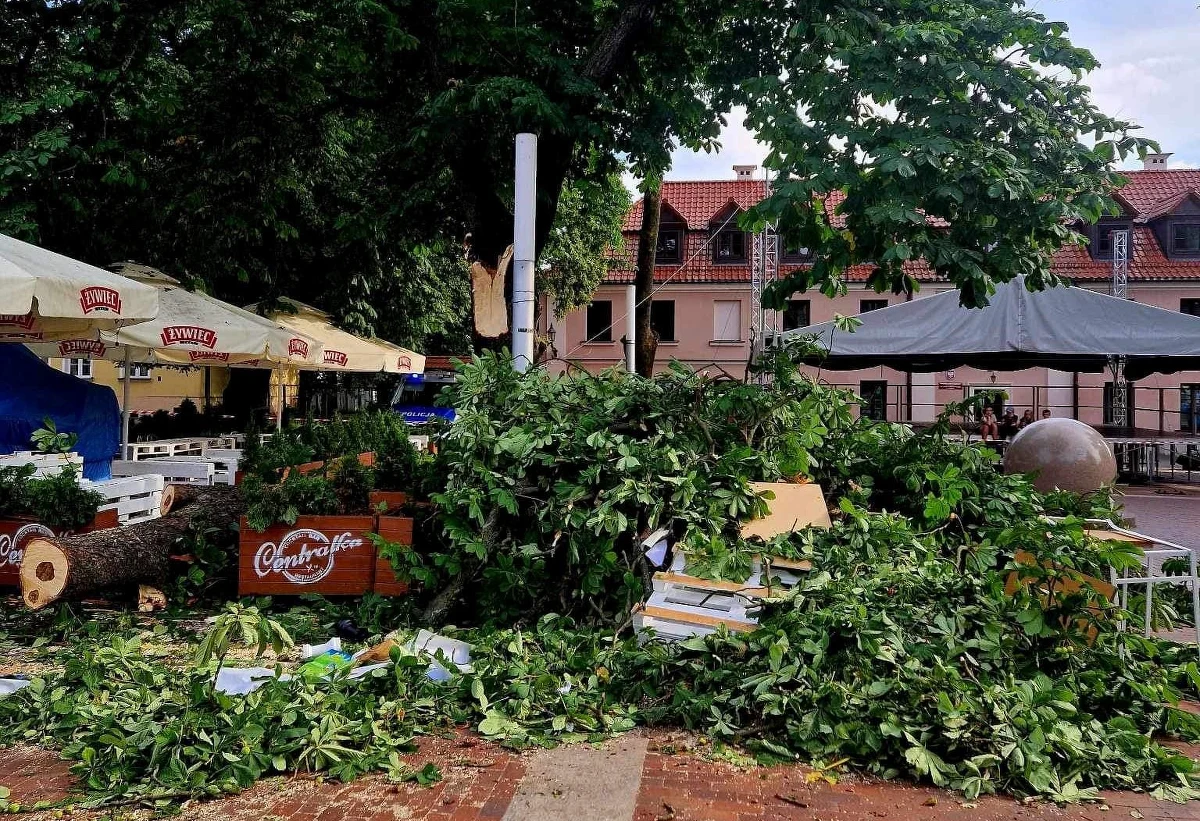 Dziewięć osób ucierpiało na Rynku Wodnym w Zamościu, kiedy od kasztanowca odłamał się potężny, 15-metrowej długości spróchniały konar i spadł na ludzi siedzących pod namiotem. Dwie osoby ze złamaniami rąk trafiły do szpitala. Policja prowadzi dochodzenie w tej sprawie.