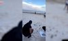 Wypuścili małe żółwie do oceanu. Wzruszająca chwila