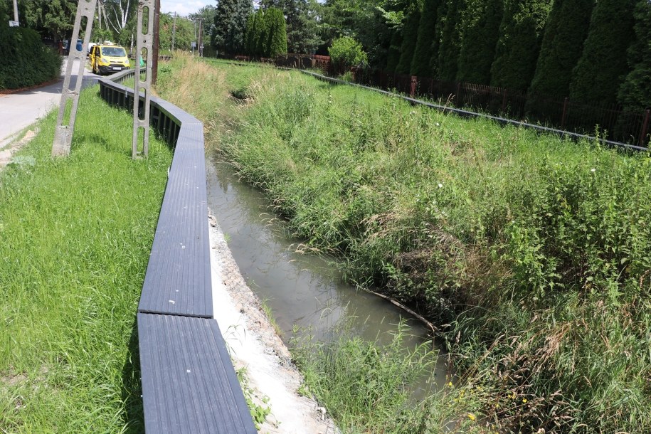 /Józef Polewka /RMF FM