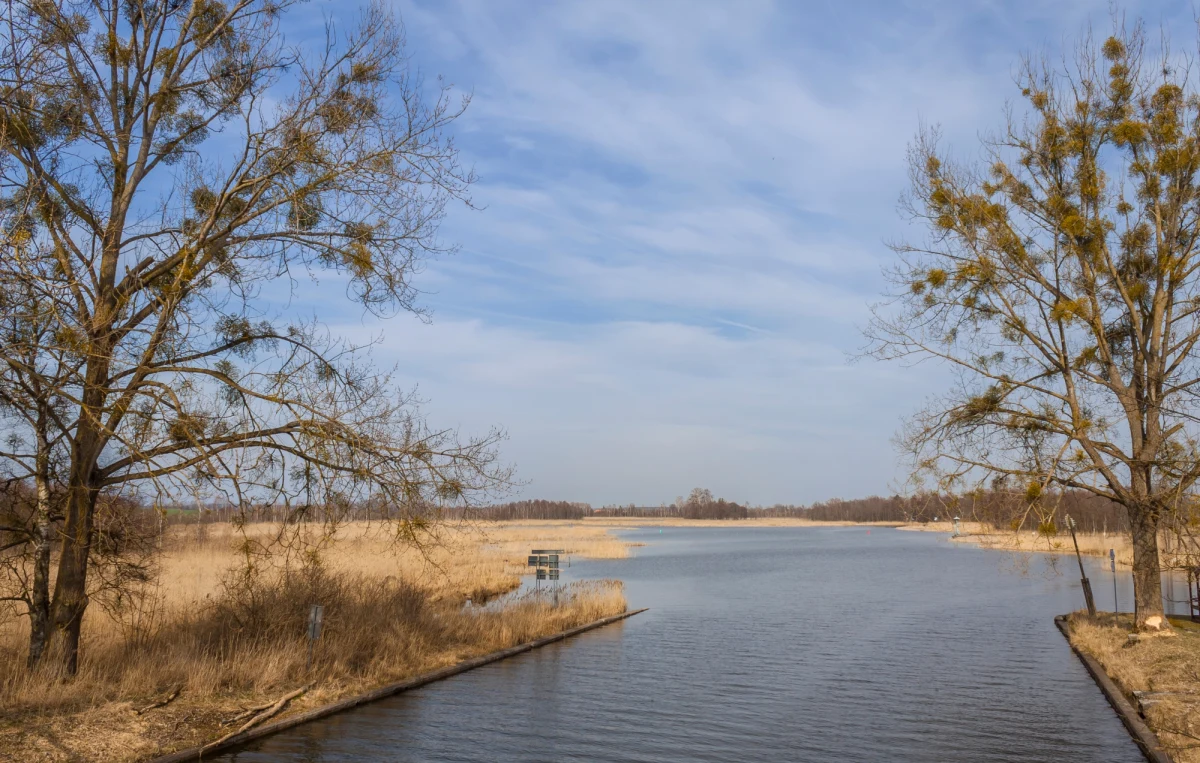 42-letni mężczyzna utonął w Kanale Grunwaldzkim w pobliżu miejscowości Zielony Lasek w gminie Ryn na Mazurach. 42-latek przyjechał wczoraj ze swoimi dwoma znajomymi łowić ryby. 