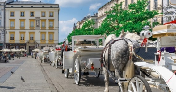 W związku z ostrzeżeniem wydanym przez Instytut Meteorologii i Gospodarki Wodnej, że w Krakowie temperatura powietrza przekroczy 30 stopni C, urzędnicy zdecydowali o zamknięciu postoju dorożek w Rynku Głównym od niedzieli do poniedziałku. Pojazdy te nie będę mogły także przejeżdżać przez rynek.