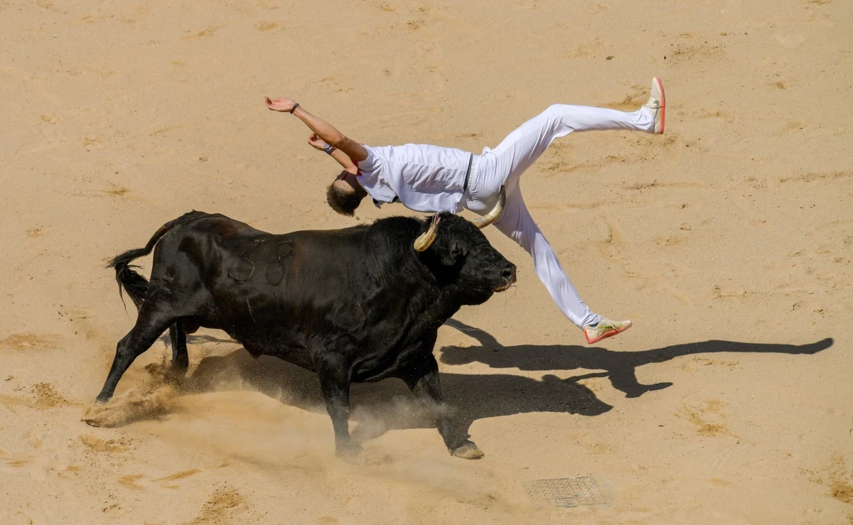 Co najmniej cztery osoby odniosły rany i zostały przewiezione do szpitala w drugim dniu tradycyjnych gonitw z bykami, tzw. encierro, na festynie Sanfermines w stolicy hiszpańskiej Nawarry, Pampelunie. W sobotniej gonitwie uczestniczyły tysiące śmiałków.