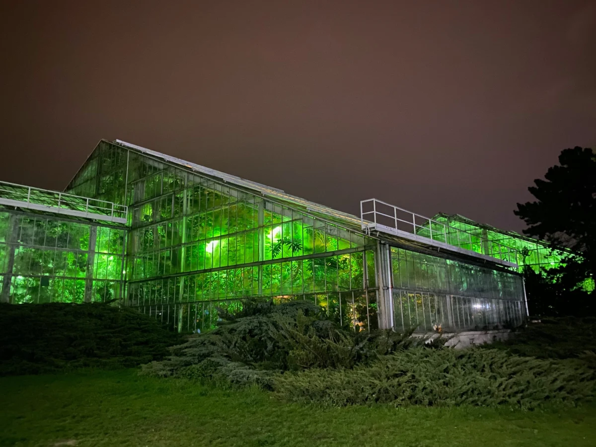 Poznańska Palmiarnia zaprasza na niezwykłe wydarzenie. 14 lipca (piątek) odbędzie się Noc w Palmiarni.  Początek o godz. 20:00. 
