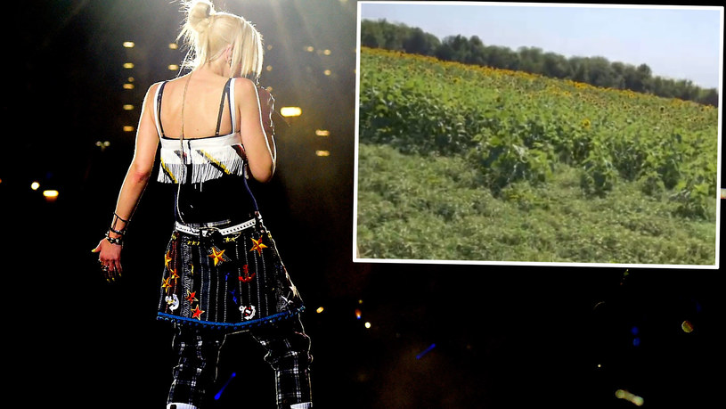 Trenerka "The Voice" Gwen Stefani opublikowała nagranie z farmy, na której pracuje razem ze swoim mężem, byłym trenerem "The Voice", Blake'iem Shletonem. Zobacz, gdzie mieszka gwiazdorska para. 