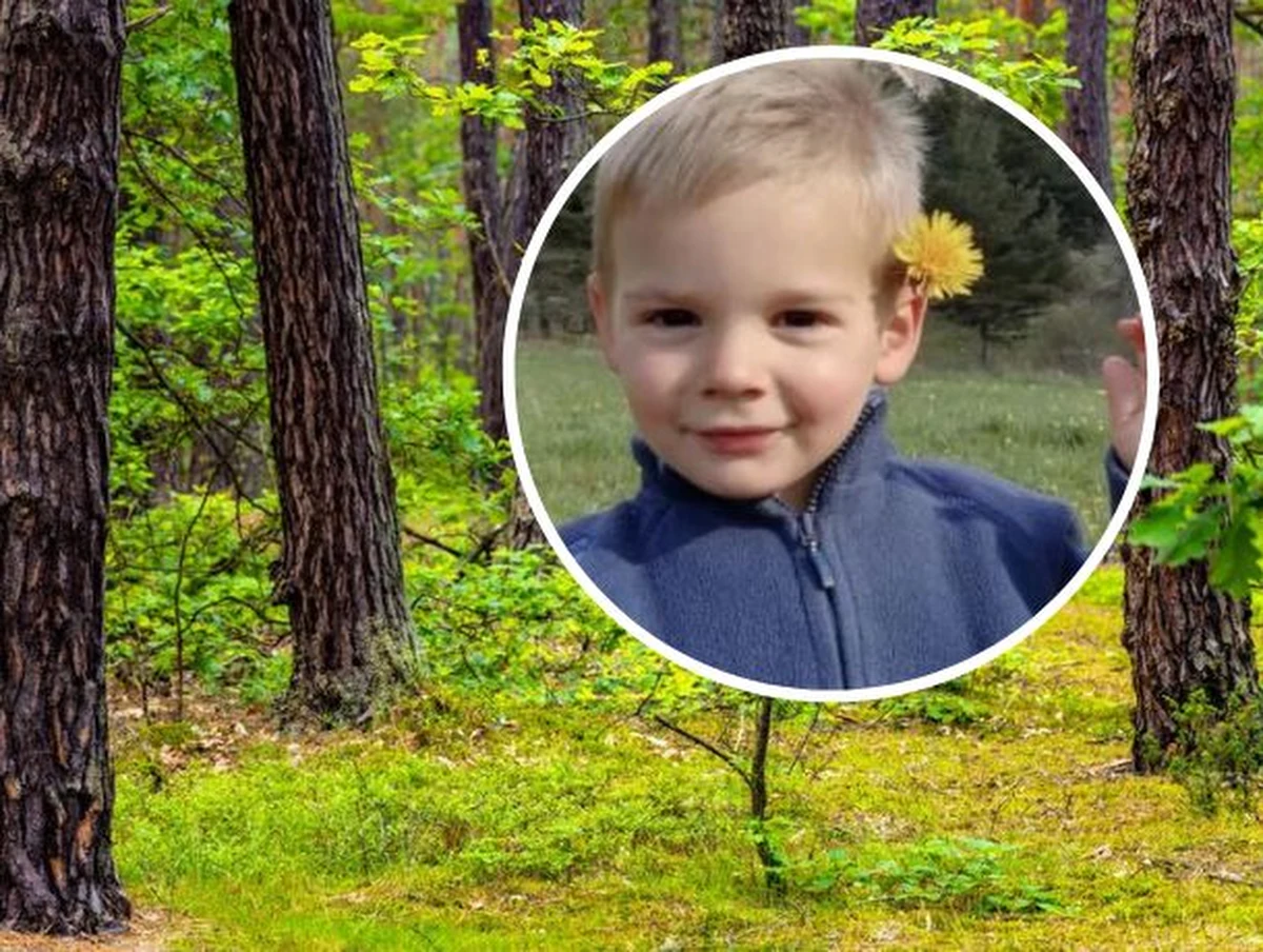 Kilkaset osób włączyło się w poszukiwania 2-letniego chłopca we Francji. Émile zaginął w sobotę. Bawił się na podwórku domu w niewielkiej wsi w departamencie Alpes-de-Haute-Provence. I nagle zniknął.