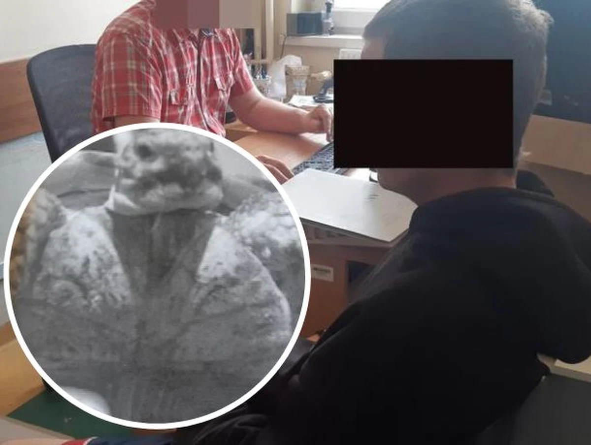 31-latek ukradł ze sklepu zoologicznego żółwia. Chwilę potem wrócił do sklepu z gadem w kieszeni, aby kupić karmę. W komendzie na Woli usłyszał zarzut kradzieży. Grozi mu do 5 lat więzienia.
