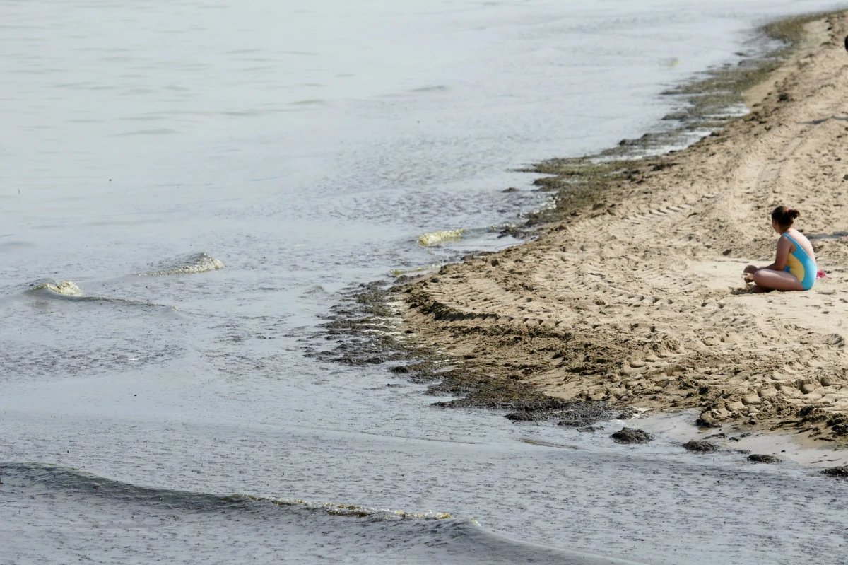 Najnowsze informacje dotyczące skutków pojawienia się sinic na Pomorzu. Dziś ponownie otwarte są wszystkie kąpieliska w Gdańsku, z morskiej wody wciąż jednak nie można korzystać na plażach w Gdyni i Sopocie. Sinicom sprzyja wysoka temperatura i słaby wiatr.