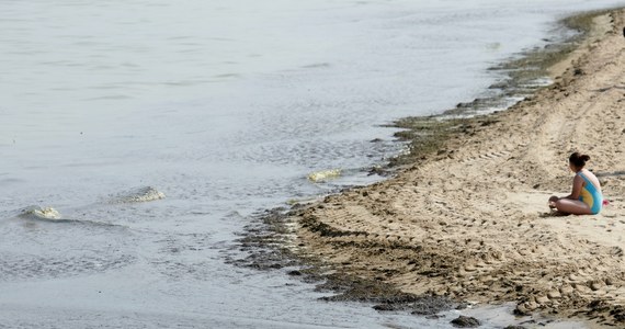 Najnowsze informacje dotyczące skutków pojawienia się sinic na Pomorzu. Dziś ponownie otwarte są wszystkie kąpieliska w Gdańsku, z morskiej wody wciąż jednak nie można korzystać na plażach w Gdyni i Sopocie. Sinicom sprzyja wysoka temperatura i słaby wiatr.