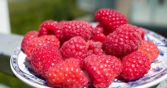 Koalicja Obywatelska rozpocznie w czwartek kontrolę poselską w resorcie rolnictwa. Ma ona związek z trudną sytuacją polskich producentów malin. 