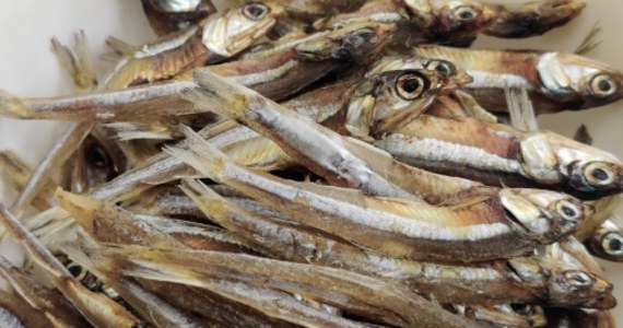 Główny Inspektor Sanitarny poinformował o wycofaniu ze sprzedaży partii konserw rybnych zanieczyszczonych histaminą. Spożycie produktu może stanowić ryzyko dla zdrowia konsumentów.