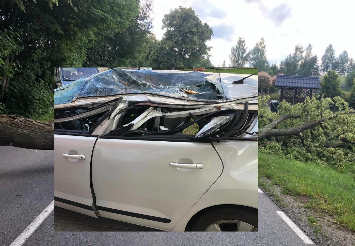 Na drodze wojewódzkiej 228 w Brodnicy Górnej drzewo spadło na samochód osobowy. Dwie osoby zostały ranne w groźnym zdarzeniu, które miało miejsce w środę w godzinach popołudniowych.