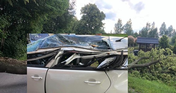 Na drodze wojewódzkiej 228 w Brodnicy Górnej drzewo spadło na samochód osobowy. Dwie osoby zostały ranne w groźnym zdarzeniu, które miało miejsce w środę w godzinach popołudniowych.