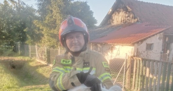 W miejscowości Szyleny (woj. warmińsko-mazurskie) doszło do niecodziennej interwencji strażaków. Pomocy potrzebował bocian.