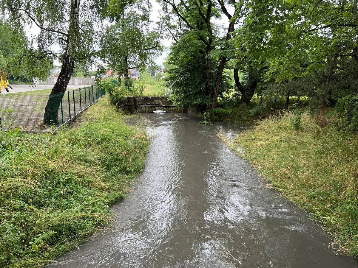 Po intensywnych opadach deszczu wzrósł poziom wody w Serafie i Drwinie w Krakowie. Służby monitorują sytuację.  W dalszych godzinach spodziewana jest stabilizacja poziomu wód - poinformował w mediach społecznościowych wiceprezydent Krakowa Andrzej Kulig.      