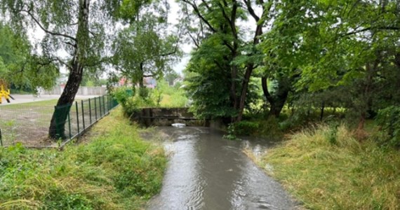 Po intensywnych opadach deszczu wzrósł poziom wody w Serafie i Drwinie w Krakowie. Służby monitorują sytuację.  W dalszych godzinach spodziewana jest stabilizacja poziomu wód - poinformował w mediach społecznościowych wiceprezydent Krakowa Andrzej Kulig.      
