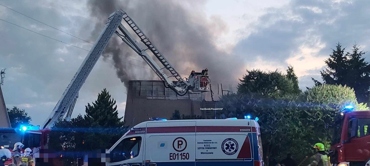 „Nie pamiętam podobnego zdarzenia w ciągu pięciu lat” – tak o tragicznym nocnym pożarze domu w Dąbrowie Wielkiej mówi oficer prasowy sieradzkiej straży pożarnej Marcin Zwierzak. Trzyosobowej rodziny nie udało się uratować.