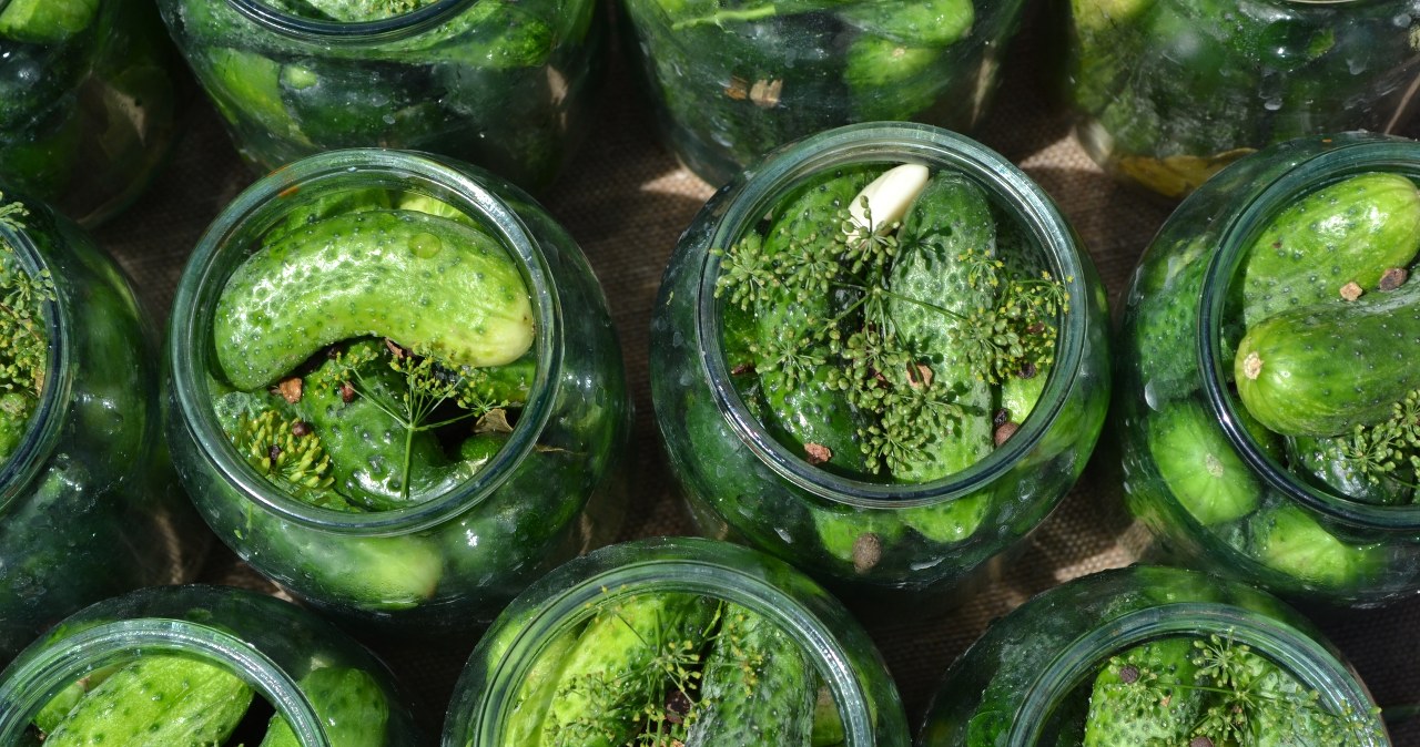 Zrób ogórki kiszone inaczej niż wszyscy. Sekret tkwi w tym jednym dodatku