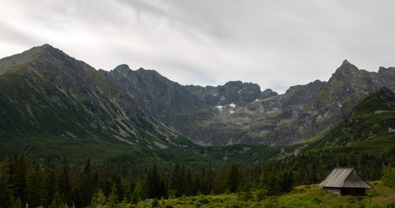 "Dziś rozpoczął się remont popularnego szlaku w Dolinie Strążyskiej w Tatrach. Nawierzchnia tego traktu będzie dostosowana do potrzeb osób poruszających się na wózkach" – informuje Tatrzański Park Narodowy.