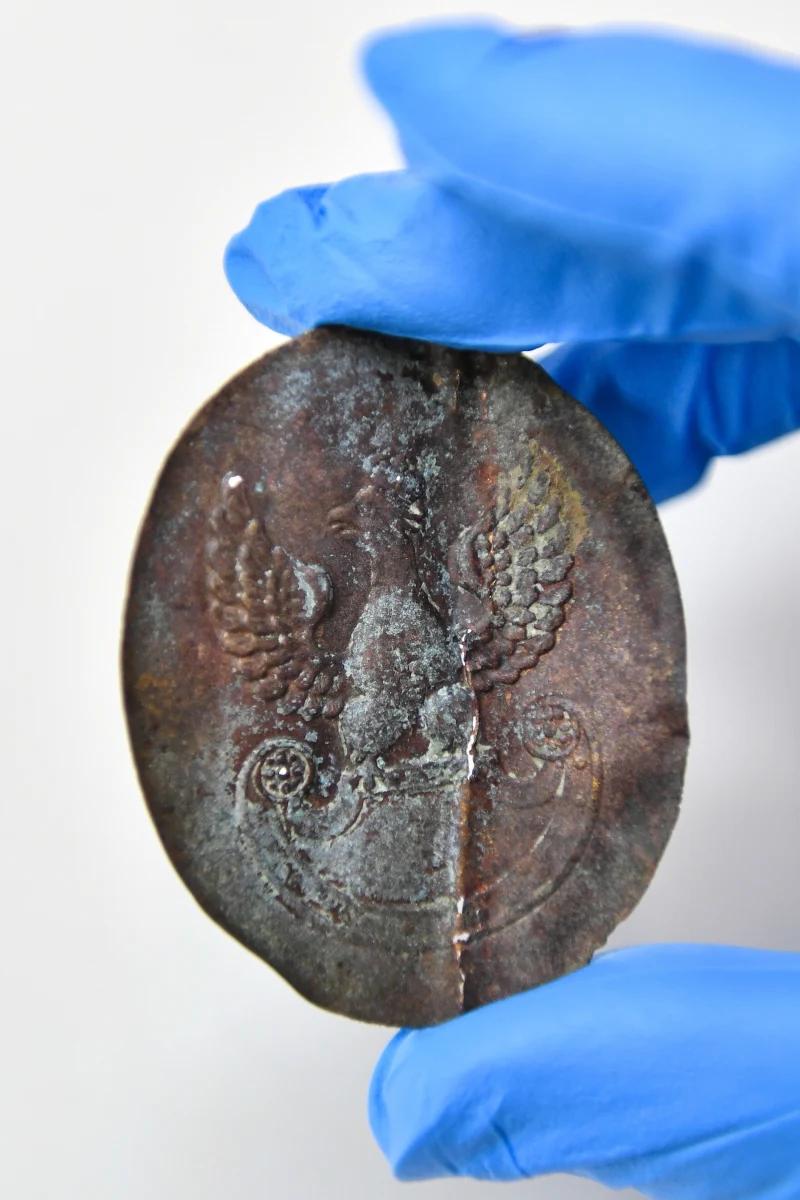 Owalną, mosiężną plakietkę z trąbki sygnałowej znaleziono w trakcie badań archeologicznych prowadzonych na Westerplatte. Trąbki służyły do przekazywania rozkazów na polu walki oraz wyznaczania rytmu dnia w  koszarach. 