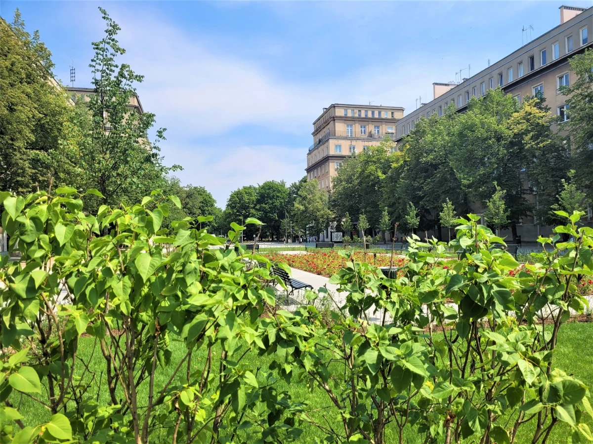 W sobotę, w samo południe, w odnowionej alei Róż w Nowej Hucie rozpocznie się miejski piknik. W programie m.in. kiermasz rękodzieła lokalnych artystów, spacery edukacyjne oraz rodzinne warsztaty ogrodnicze, a główną bohaterką zajęć będzie róża.