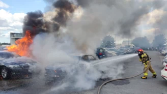 Potężny pożar na gdańskim lotnisku. Kilkanaście uszkodzonych aut