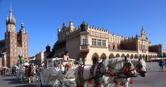 Dorożki nie przejadą przez Rynek Główny w Krakowie. Magistrat informuje, że w związku z upałami zarówno przejazd, jak i postoje dla dorożek zostają zamknięte w godzinach 9.30-19.00 od soboty do poniedziałku.