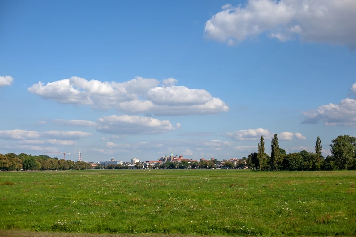 Błonia są rzadko koszone. To celowy zabieg, który ma sprzyjać zwiększeniu bioróżnorodności słynnej krakowskiej łąki. Teraz jednak trawa wyrosła wysoko i zaczyna schnąć. To znak, że zbliżają się sianokosy.
