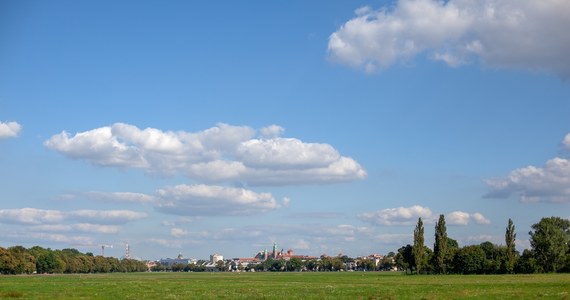 Błonia są rzadko koszone. To celowy zabieg, który ma sprzyjać zwiększeniu bioróżnorodności słynnej krakowskiej łąki. Teraz jednak trawa wyrosła wysoko i zaczyna schnąć. To znak, że zbliżają się sianokosy.