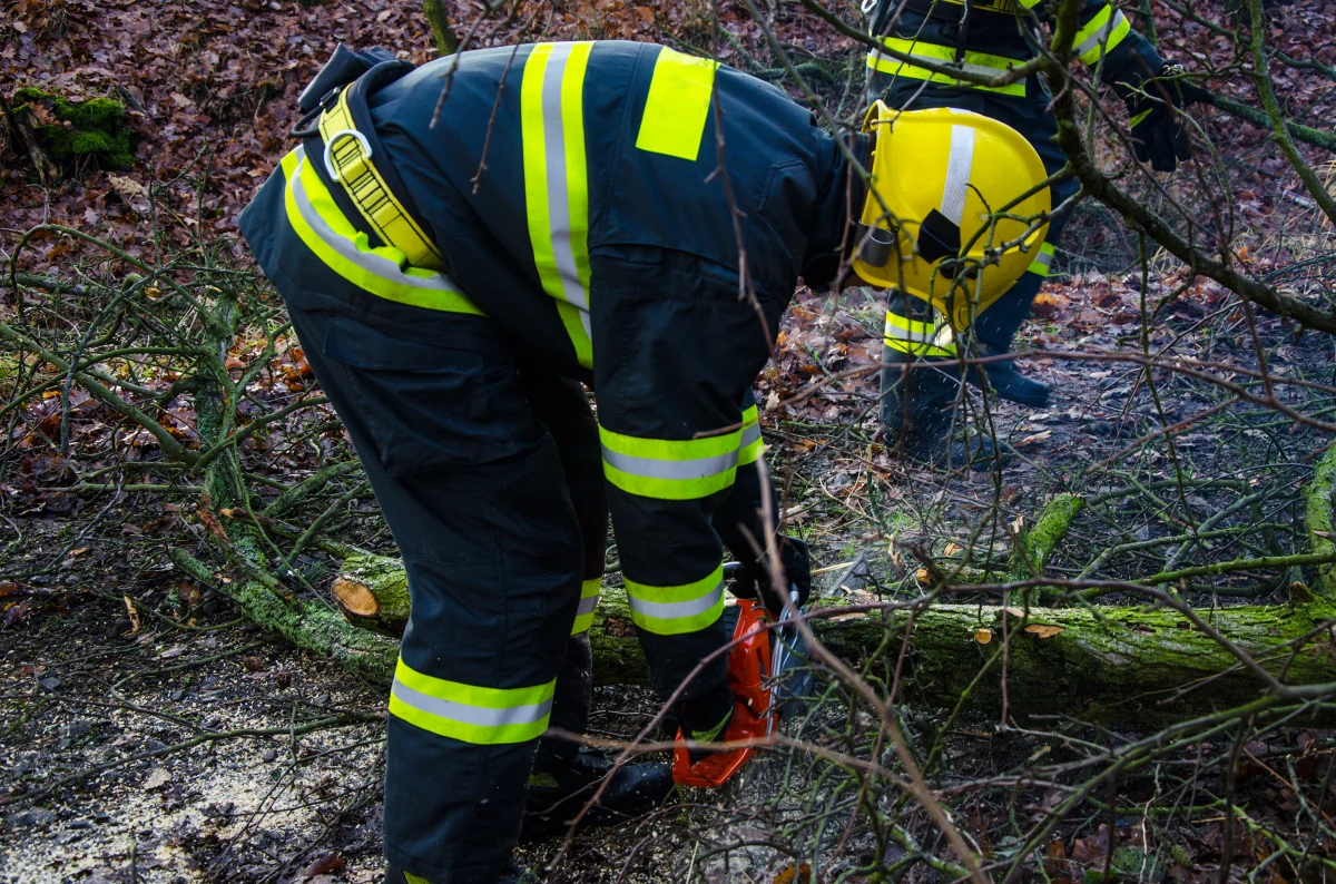 80 razy interweniowali w ciągu doby lubelscy strażacy w związku z burzami przechodzącymi przez region, z czego ponad 60 zgłoszeń dotyczyło połamanych drzew i konarów na drogach. Również kilka samochodów zostało uszkodzonych. Nikt nie ucierpiał.