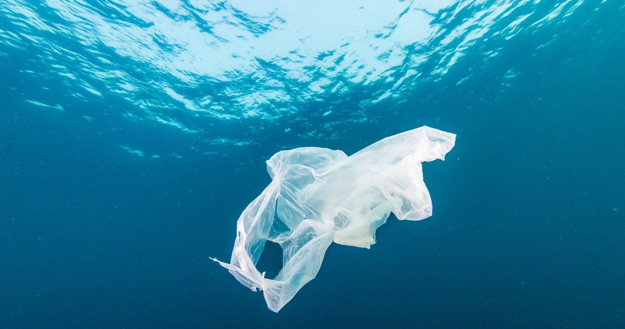 Nie ma już czystych miejsc. Najczystsze obszary na świecie są skażone