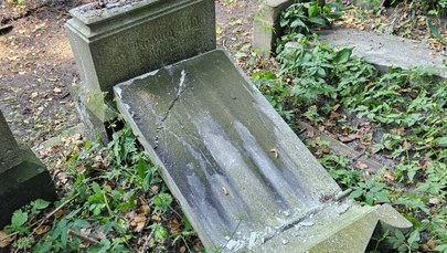 Dewastacja cmentarza żydowskiego w Katowicach. Wandale zniszczyli przedwojenne nagrobki