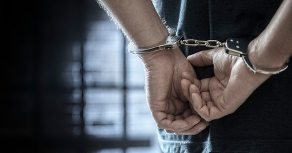 48-letni Gruzin, który miał dotykać dzieci na basenie w Bytomiu, spędzi najbliższy miesiąc w areszcie – zdecydował bytomski. Prokuratura wnioskowała wcześniej o trzy miesiące. Gruzinowi grozi nawet 12 lat więzienia. 