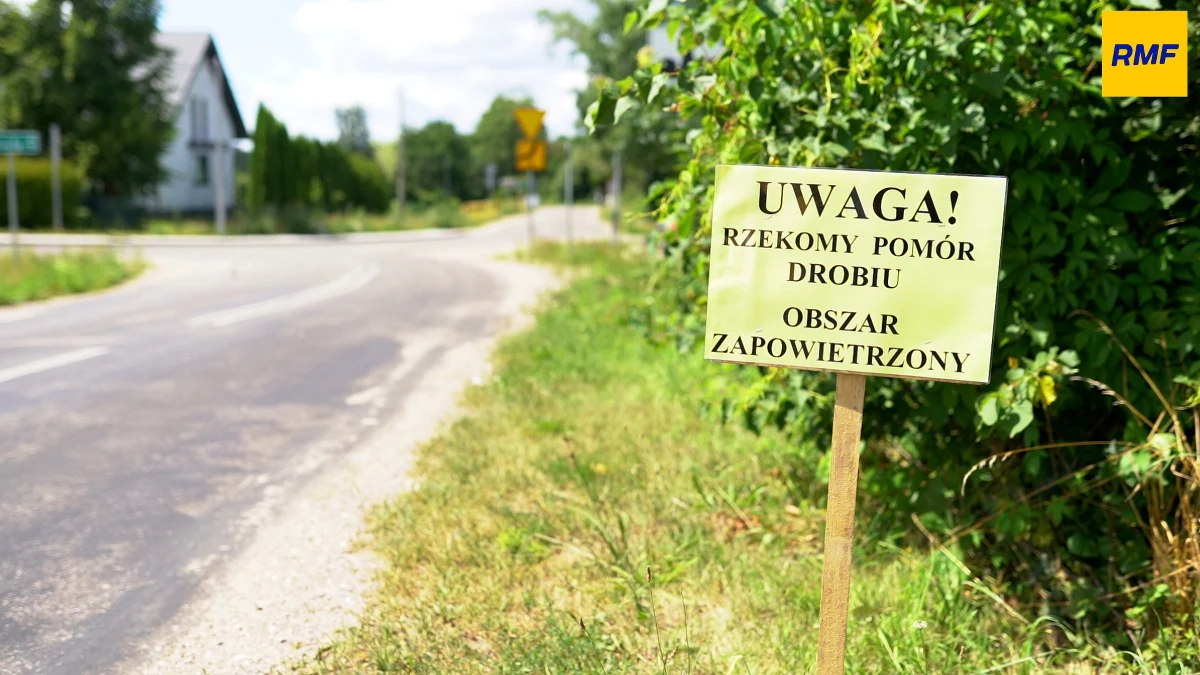 Ponad 16 tysięcy kur z gospodarstwa na Podlasiu trzeba było zutylizować po odkryciu ogniska choroby nazywanej rzekomym pomorem drobiu. Tej zjadliwej choroby, niebezpiecznej wyłącznie dla ptaków, nie odnotowano w Polsce od 49 lat. Źródło zakażenia odkryto we wsi Topilec w powiecie białostockim. 