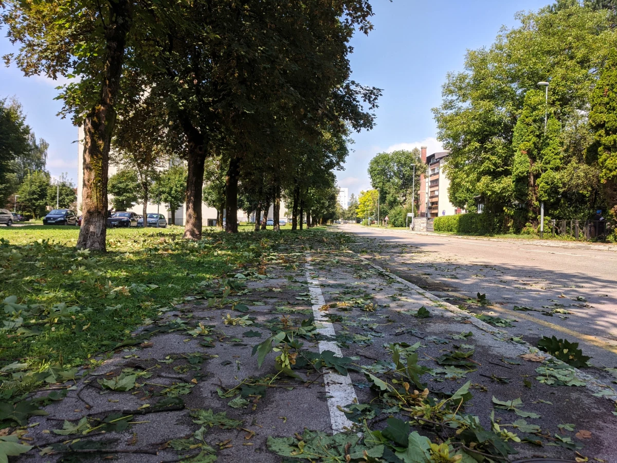 253 osoby - w tym dzieci - ewakuowane, dziesiątki tysięcy domów bez prądu - to skutki gwałtownych burz, które wieczorem przeszły przez Słowenię. Podmuchy wiatru podczas nawałnic miał 100 km/h.
