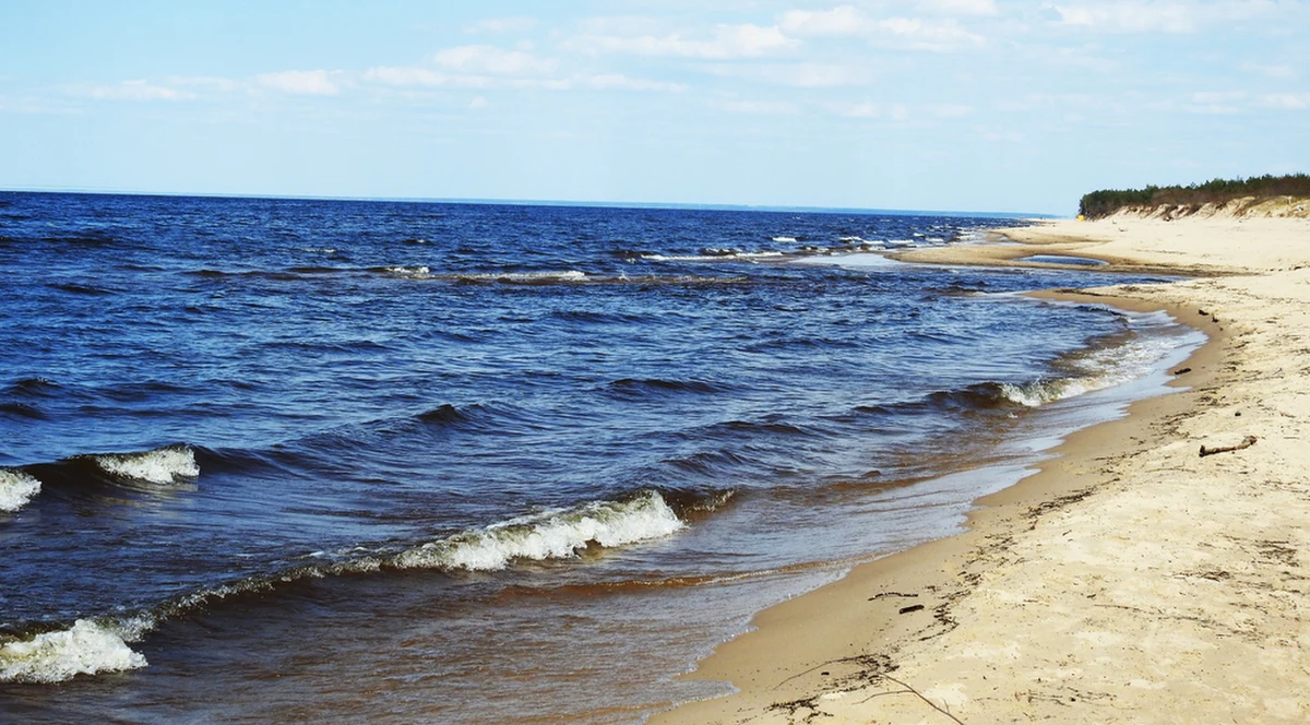 Główny Urząd Statystyczny poinformował, że powierzchnia Polski powiększyła się o 121 106 hektarów w porównaniu do poprzedniego roku.