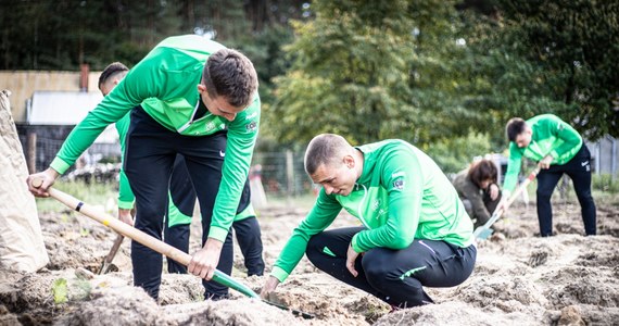 Za każdą bramkę, którą w oficjalnych rozgrywkach zdobędzie Warta Poznań posadzone zostanie 111 drzew w jednym z podpoznańskich nadleśnictw. To kontynuacja szczytnej akcji "Ale Zasadził!", którą klub ze stolicy Wielkopolski organizuje wspólnie z Regionalną Dyrekcją Lasów Państwowych w Poznaniu.