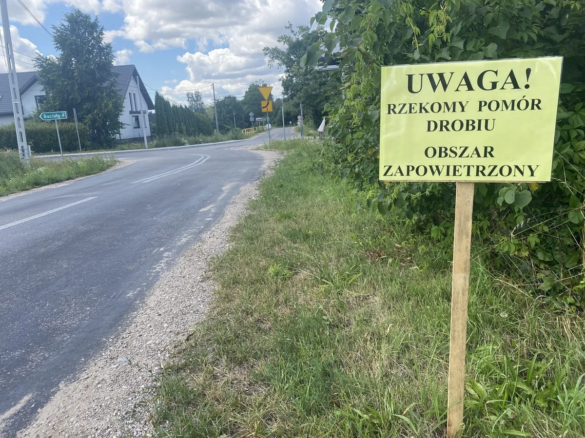 Kolejne, trzecie już ognisko choroby nazywanej rzekomym pomorem drobiu potwierdzono w powiecie białostockim. Trwa likwidacja kur w dwóch gospodarstwach i odkażanie kurników. 