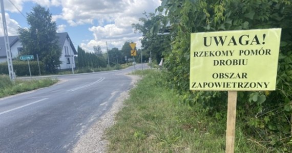 Kolejne, trzecie już ognisko choroby nazywanej rzekomym pomorem drobiu potwierdzono w powiecie białostockim. Trwa likwidacja kur w dwóch gospodarstwach i odkażanie kurników. 