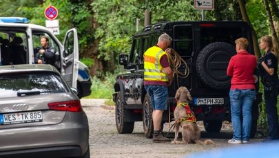 Niemcy: Setki policjantów zaangażowane w poszukiwania lwicy