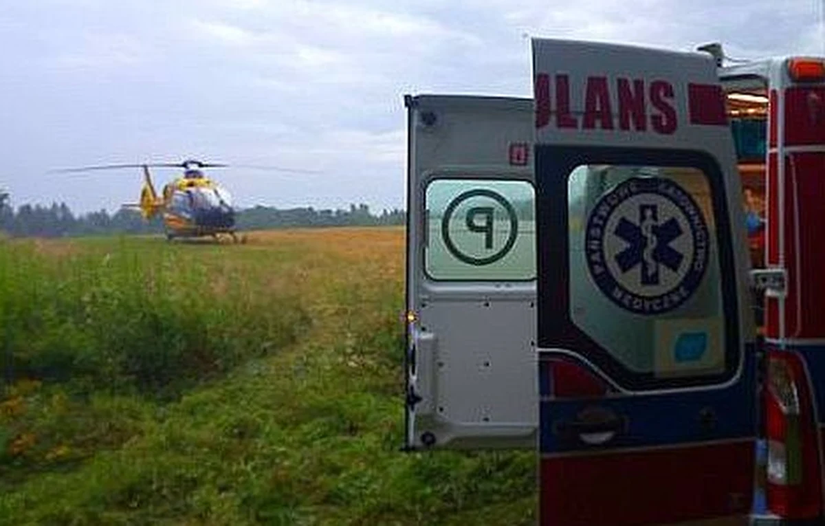 ​Tragiczny wypadek w miejscowości Potoki (Lubelskie). 54-latek zginął podczas prac związanych z wycinką drzew w kompleksie leśnym. Został uderzony przez spadający konar.