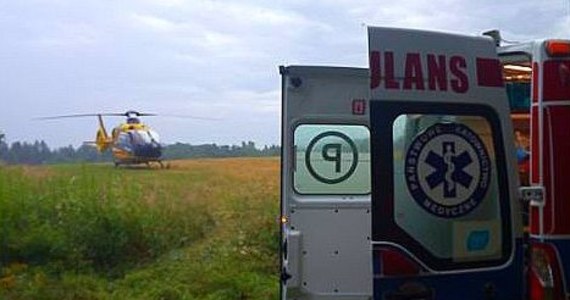 ​Tragiczny wypadek w miejscowości Potoki (Lubelskie). 54-latek zginął podczas prac związanych z wycinką drzew w kompleksie leśnym. Został uderzony przez spadający konar.