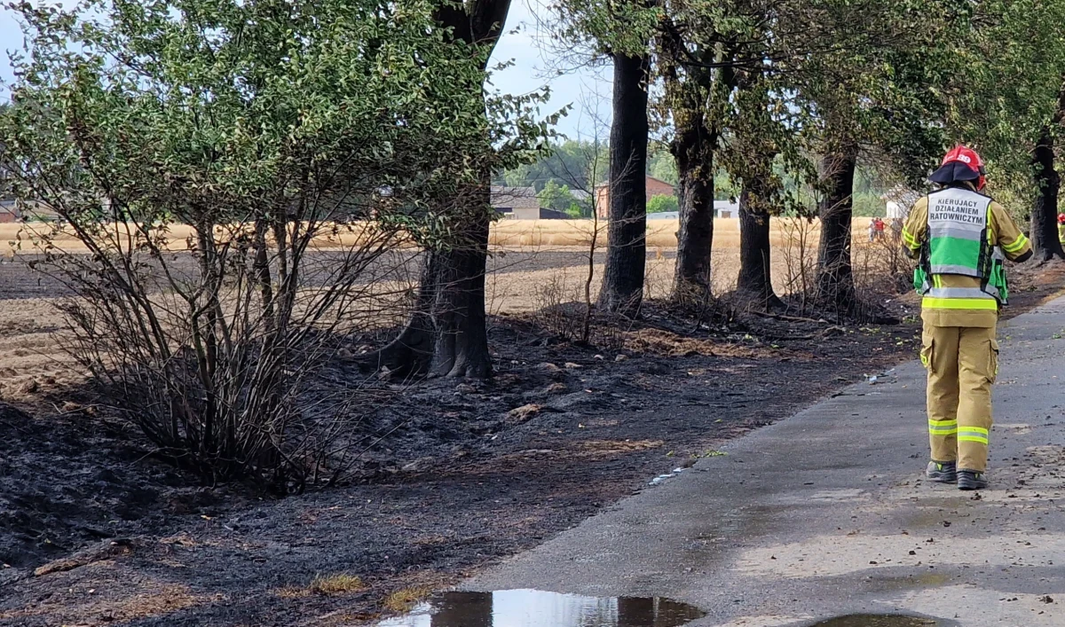 Ponad 460 hektarów pól uprawnych spłonęło w lipcu w Wielkopolsce. To bardzo trudny okres. Najgorszym dniem tego miesiąca była środa (19 lipca). Strażacy odebrali wtedy 36 zgłoszeń o pożarach na terenach rolniczych.