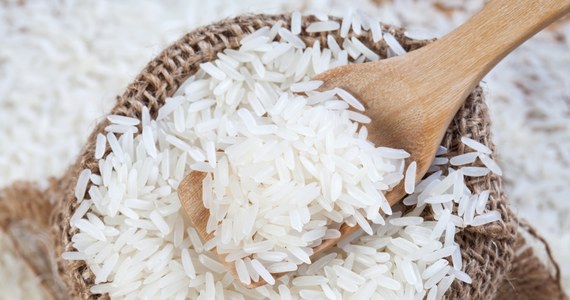 Odpowiadające za ponad 40 proc. światowego handlu i mające drugie co do wielkości w świecie zbiory ryżu Indie wprowadziły zakaz eksportu najpopularniejszych odmian tego zboża. Decyzja ma "złagodzić wzrost cen na rynku krajowym", ale z całą pewnością doprowadzi do wywindowania cen ryżu na rynkach światowych – o sprawie pisze serwis stacji CNBC, zwracając uwagę na związek wprowadzonego zakazu z zerwaniem przez Rosję umowy umożliwiającej wywóz ukraińskiego zboża przez Morze Czarne.