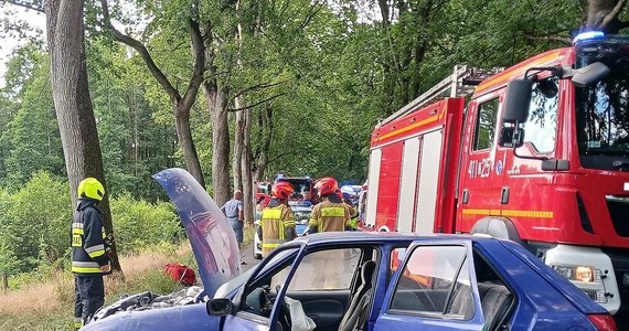 Nie brakowało wiele, by doszło do tragedii po tym, gdy kierowca forda uderzył w drzewo w powiecie choszczeńskim. Wszystkiemu winny był kot, który wyskoczył z transportera wprost na kierującego.