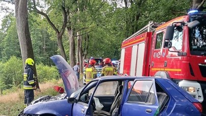 Kot wskoczył mu na pierś. Samochód wylądował na drzewie